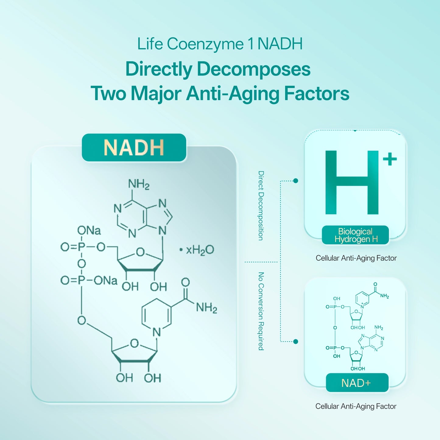 Diaryluck NAD+ Core Capsule